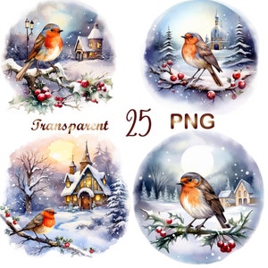 25 Christmas Robin Clipart  PNG, Winter Robin PNG, Bird Robin PNG. Red Robin Sublimation, Bird Clipart, Robin Watercolor, Commercial USe