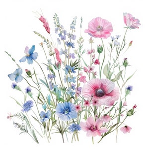 36 JPGs, clipart de prado de flores silvestres, JPGs de alta qualidade, flores silvestres para impressão, download digital, criação de cartões, mídia mista, artesanato em papel digital