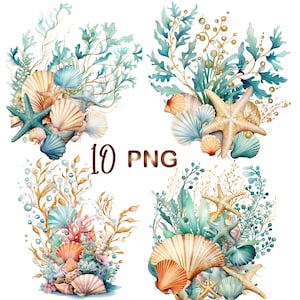 10 cliparts coquillage aquarelle PNG, plage clipart, lot de cliparts nautiques, clipart océan, clipart mer, album, coquillage png, fabrication de cartes