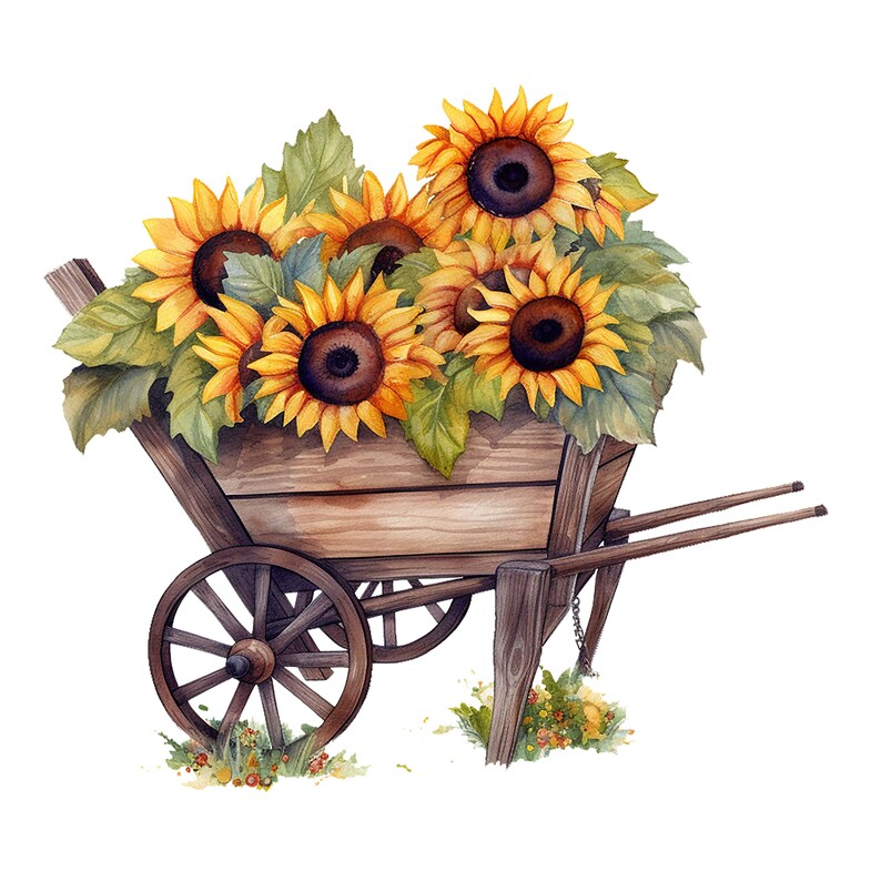May include: A wooden wheelbarrow filled with a bouquet of bright yellow sunflowers with green leaves. The wheelbarrow is brown and has a wooden handle.