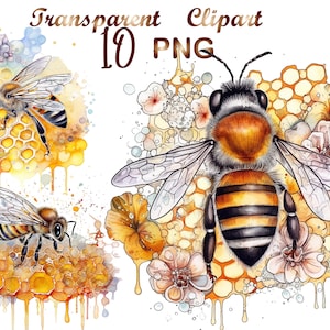 10 Floral Honey Bee on Honeycomb png, Honey Bee on Honeycomb Clipart, Sublimation, sublimation design, Commercial USe, Digital download