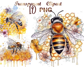 10 Floral Honey Bee on Honeycomb png, Honey Bee on Honeycomb Clipart, Sublimation, sublimation design, Commercial USe, Digital download