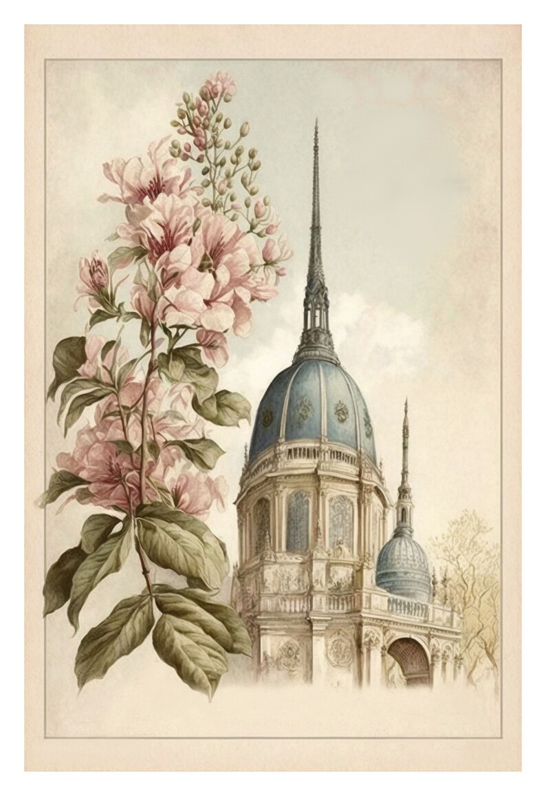 May include: A vintage illustration of a pale pink flower blossom with green leaves in front of a detailed drawing of a large, domed building with a tall spire.