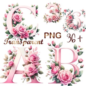 Más de 36 PNG, colección de alfabetos florales en acuarela, clipart del alfabeto rosa, clipart de hitos del bebé, paquete de flores rosas, descarga digital