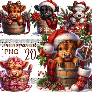 20 PNG, Christmas Highland cow clipart bundle,highland cow png,highland cow clipart,cute cow png, Christmas Highland Cows in bucket