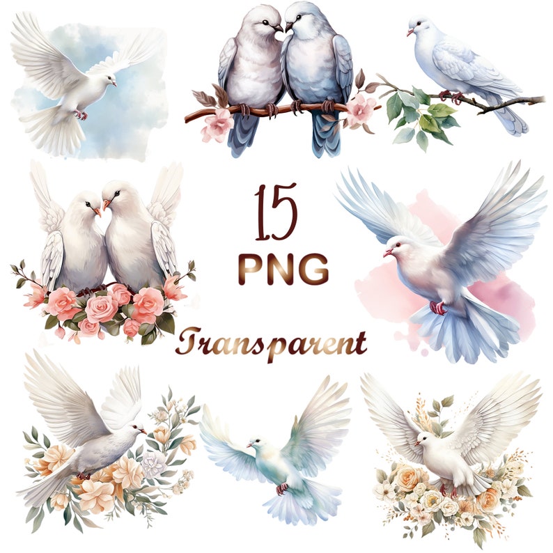 15 Watercolor Dove Clipart PNG, Summer Bird Clip Art, Romantic Doves ...