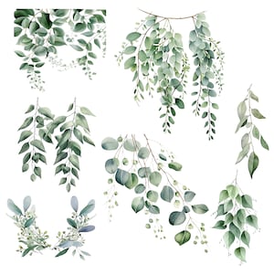 May include: Watercolor illustrations of various eucalyptus branches and leaves in shades of green and blue-green. The botanical art features different arrangements of foliage, including hanging sprigs and circular leaf clusters, all set against a clean white background.