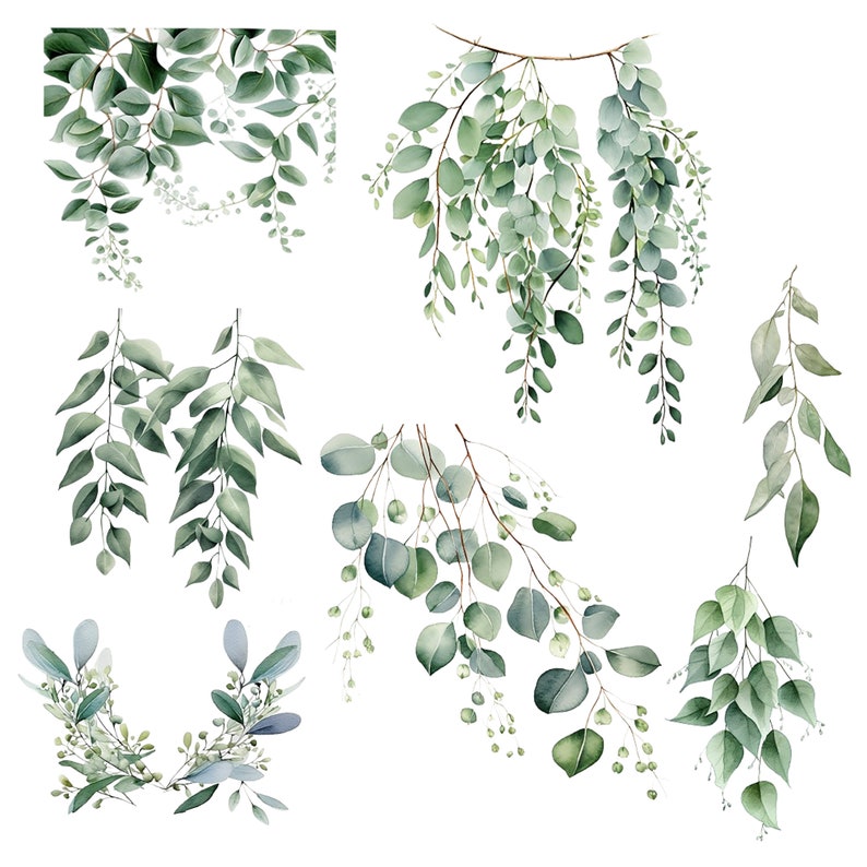 May include: Watercolor illustrations of various eucalyptus branches and leaves in shades of green and blue-green. The botanical art features different arrangements of foliage, including hanging sprigs and circular leaf clusters, all set against a clean white background.