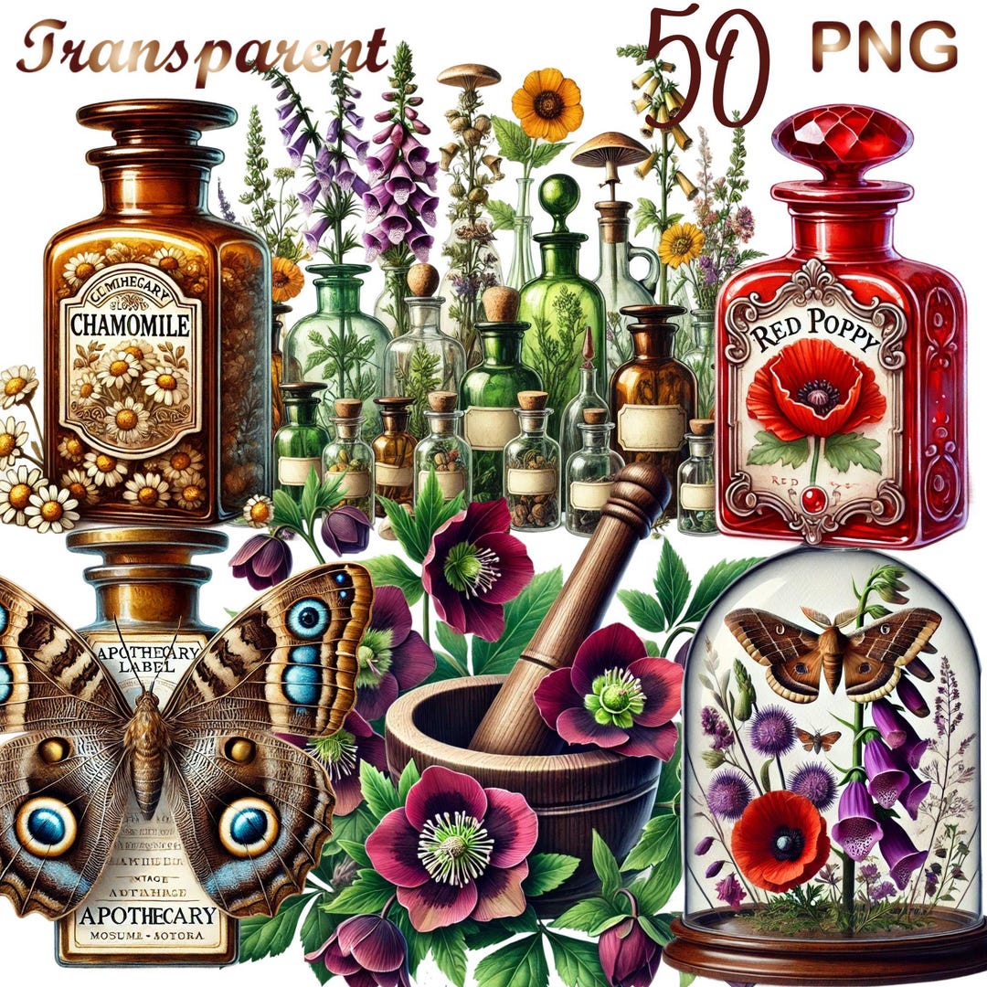 50 PNG Herbal Witch Witchcraft Illustration, Witch Witchcraft Clipart Bundle,old World Apothecary, Digital Download, Commercial Use - Etsy Canada