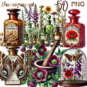 50 PNG  Herbal Witch Witchcraft Illustration, Witch Witchcraft Clipart Bundle,Old World Apothecary, Digital Download, Commercial Use