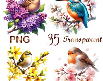 35 PNG, Floral Birds Clipart Bundle 1, Spring Birds Clipart, Blossom Bird Graphics, Birds On Branch Clipart,Digital Download, Commercial Use