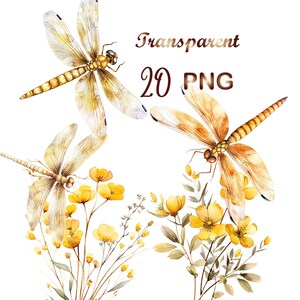 20 Golden Dragonfly & Wildflowers clipart PNG, floral clipart, watercolor  Golden Dragonfly,digital download,commercial use, sublimation png