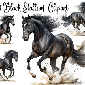 10 Black Stallion Clipart, JPG, Commercial use,Digital Download, Card Making, Mixed Media,Digital Paper Craft,Watercolor, watercolour horse