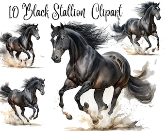 10 Black Stallion Clipart, JPG, Commercial use,Digital Download, Card Making, Mixed Media,Digital Paper Craft,Watercolor, watercolour horse