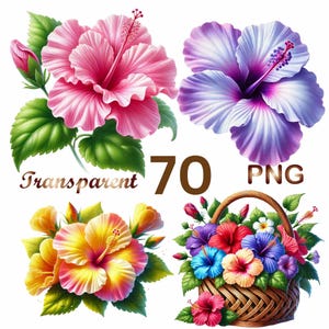 70 PNG Hibiscus Clipart Bundle | Bright Floral Illustrations | Tropical Blooms Art |   Commercial use | Digital Downloadable Set