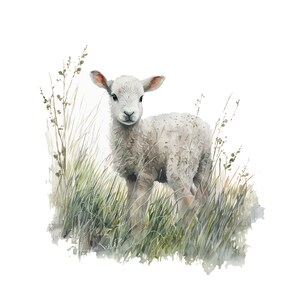 May include: Watercolor illustration of a fluffy white lamb standing in tall green grass. The lamb has a sweet expression and is surrounded by blades of grass and delicate plant stems, creating a pastoral scene.