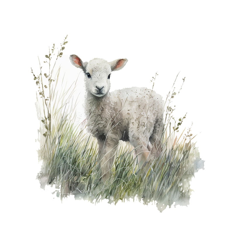 May include: Watercolor illustration of a fluffy white lamb standing in tall green grass. The lamb has a sweet expression and is surrounded by blades of grass and delicate plant stems, creating a pastoral scene.