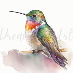May include: Watercolor painting of a hummingbird perched on a branch. The bird features a green head, iridescent throat, and colorful plumage in shades of red, orange, purple, and yellow. The background is a soft white with the word "Dream Art" in the upper left corner.