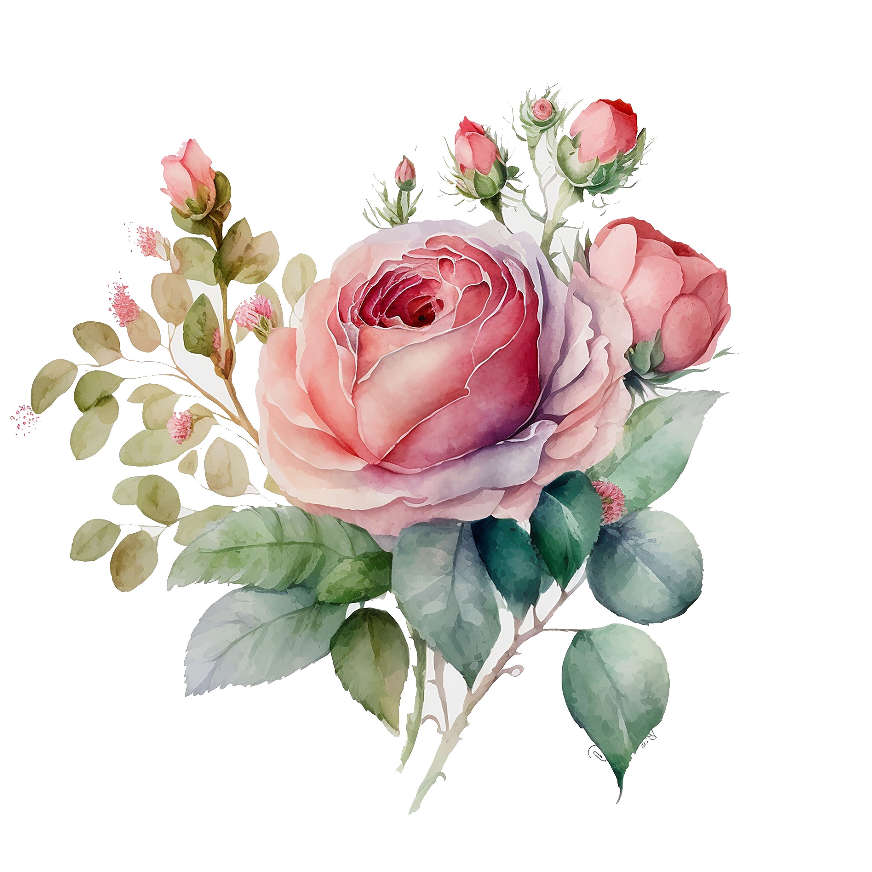 12 Watercolor Rose Clipart - High Quality Jpgs - Digital Download ...