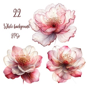 22 JPGs, Abstract Flowers Clipart, Peonies Art Print, Printable Watercolor clipart, Digital download, Paper craft, junk journals