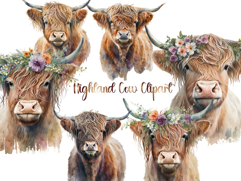 Highland Cow PNG Clipart Bundle, Scottish Cattle (digital Download ...