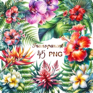 45 PNG, Watercolor Tropical flowers and leaves clipart, Tropical plants, Jungle clipart, Hawaii wedding, Greenery Clipart, Comercial use