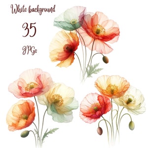 35 JPGs, Abstract Poppies Clipart bundle, Poppies Art Print, Printable Watercolor clipart, Digital download, Paper craft, junk journals