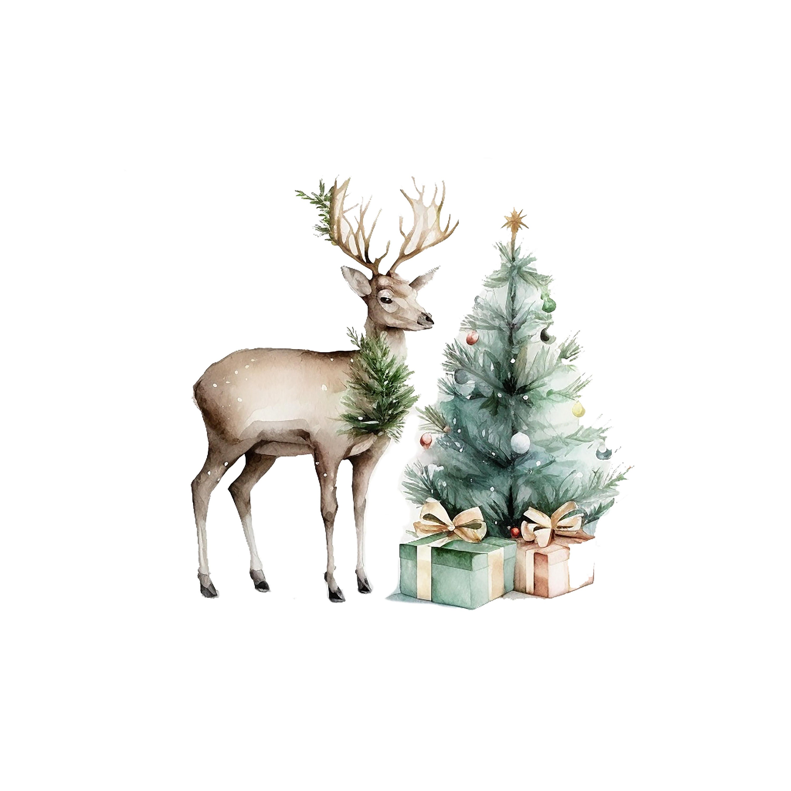 11 Cute Fawn Clipart , Christmas Deer Clipart, High Quality Jpgs ...