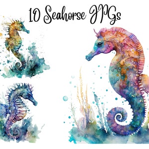 10 Seahorse Clipart, Fish clipart, Sea clipart, JPGs, Commercial use, Digital Download,Watercolor Clipart,Card Making,Clip Art,Digital Craft