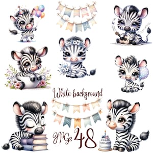 48 JPG, Watercolor Baby zebra clipart bundle, cute zebra clipart, little zebra, baby zebra clipart, Commercial use, Digital Download