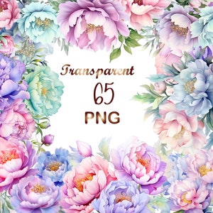65 Pastel Peony Flowers PNG, Watercolor Floral Bouquets, Elements, Peony Frame, Flowers Border, Tree Commercial Use, Digital Download