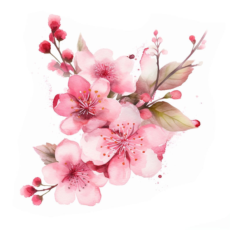 10 Cherry Blossom Clipart Jpgs High Quality Digital - Etsy
