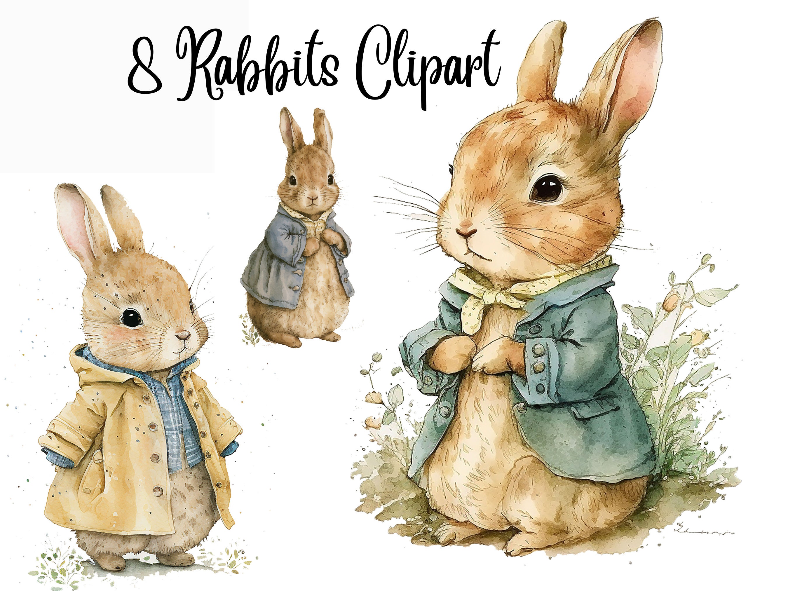 Bunny Rabbit Free Clip Art