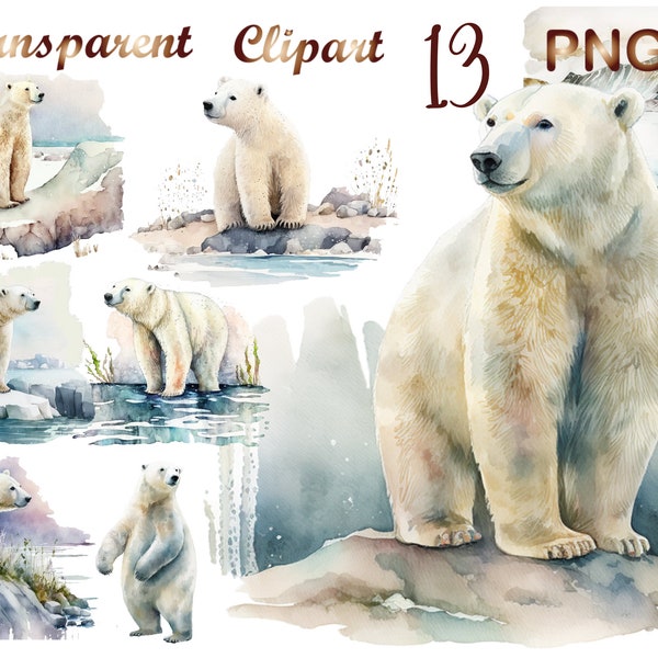 13 Watercolor polar bear clipart png, polar bear png, polar bear clipart, bear clipart, watercolor bear, cute bea, png, digital download