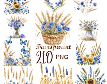 210 PNG Wheat and Cornflowers Watercolor Clipart Bundle,Rustic Harvest,Farmhouse Flowers,Sunflower & Lavender Illustrations,Digital Download