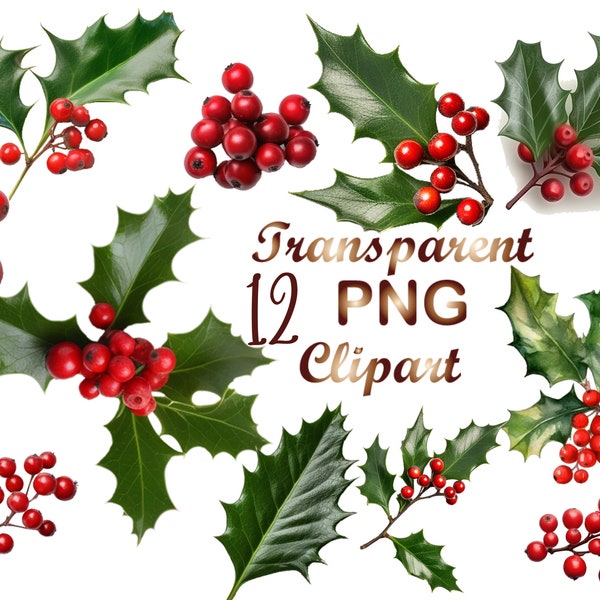 12 Christmas Holly Clipart, Christmas clipart, Holly png, Holly clipart, Christmas png,Christmas sublimation,Digital Download,Commercial USe