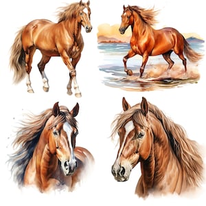 May include: Four watercolor paintings of brown horses with white markings. The horses are depicted in different poses, including running, standing, and looking at the viewer. The paintings are set against a white background.