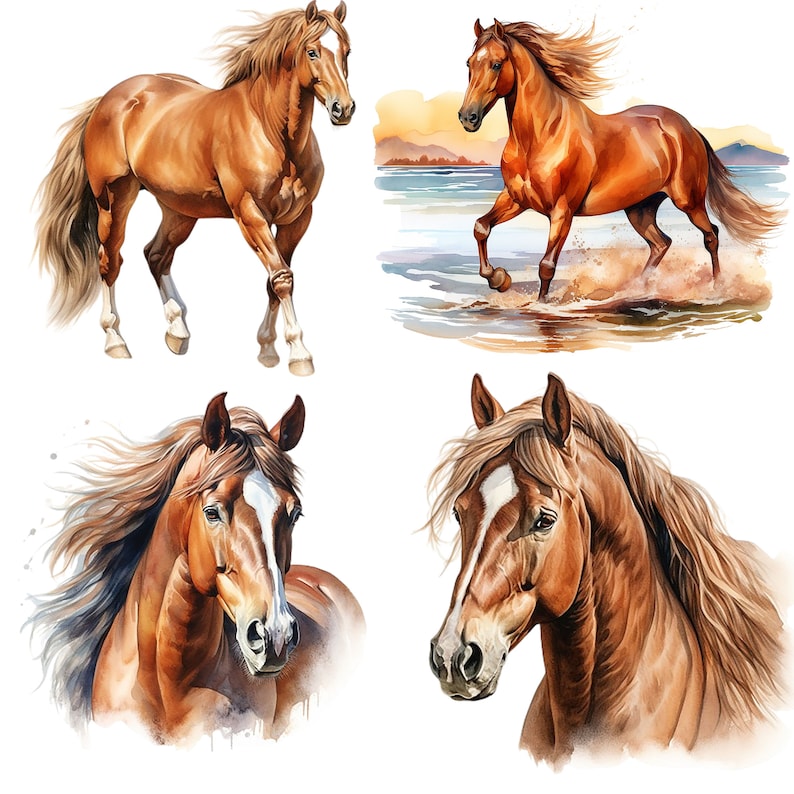 May include: Four watercolor paintings of brown horses with white markings. The horses are depicted in different poses, including running, standing, and looking at the viewer. The paintings are set against a white background.