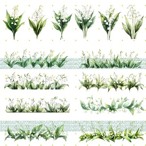 Lily of the Valley Watercolor Clipart, 70 Convallaria Majalis Flowers ...