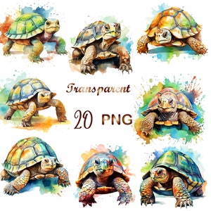 May include: A set of 10 watercolor illustrations of turtles with colorful shells and backgrounds. The turtles are in various poses, some with their heads up and some with their heads down. The backgrounds are a mix of blue, green, and yellow.