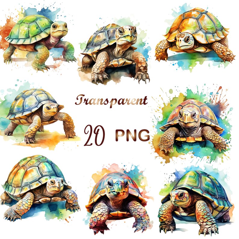 May include: A set of 10 watercolor illustrations of turtles with colorful shells and backgrounds. The turtles are in various poses, some with their heads up and some with their heads down. The backgrounds are a mix of blue, green, and yellow.