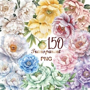 150 Pastel Peonies Flowers PNG, Watercolor Floral Bouquets, Elements, Peony Frame, Flowers Border, Tree Commercial Use, Digital Download