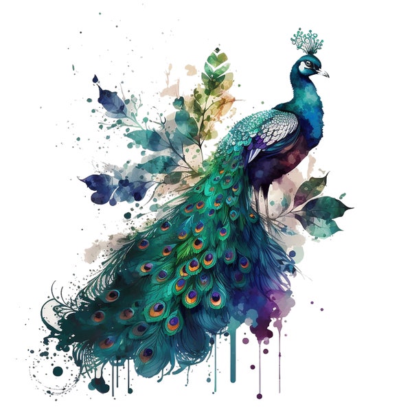 8 PNG, Peacock png,  Peacock clipart,  Peacock art,  Peacock,  Peacock print, sublimation design, Peacock design, bird png, digital download