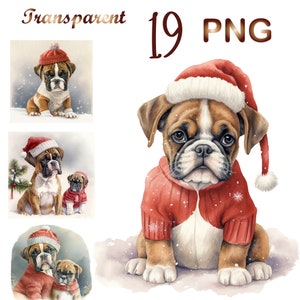 19 Watercolor Christmas  Boxer PNG, Digital Clipart PNG, Portrait Boxer PNG Bundle for Commercial Use, Dog Lover Gift