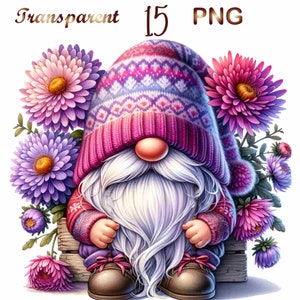 15 Geburtsmonat Blume Clipart, Geburtsmonat Blume Gnom, Aster Gnom, niedliche Zwerge png, niedliche Zwerge png