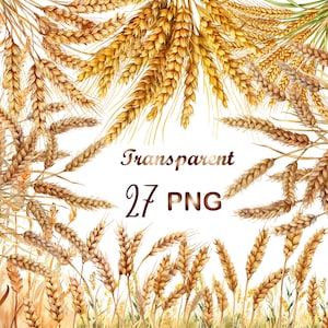 27 PNG Watercolor Wheat Clipart Bundle, Wheat Digital Images, Wheat Graphics, Wheat PNG, Digital Download, Farm Clipart | Wheat Field PNG