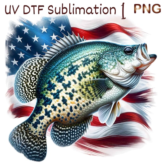 1 PNG, Crappie png, crappie fish png, crappie fishing png, png fishing, 4th of July, Sublimation,dtf png,dtf