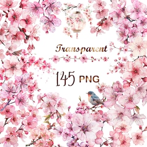 145 PNG, Watercolor Sakura Clipart bundle, Spring Flowers clipart, Cherry Blossom clipart, Floral Clipart, Digital Prints, Commercial Use