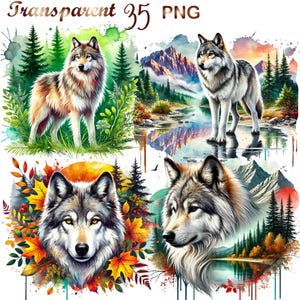 May include: Four digital illustrations of wolves in different settings. The first image shows a wolf standing in a forest with green trees and a watercolor background. The second image shows a wolf standing in a snowy mountain scene with a river in the foreground. The third image shows a wolf's head with a watercolor background of fall leaves. The fourth image shows a wolf's head with a watercolor background of a lake and mountains.