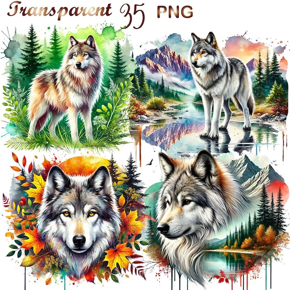 35 PNG, Wolf Clipart Bundle Clipart, Polar Wolf Graphics Designs, Instant Digital Download, Unlimited Commercial Use Crafts